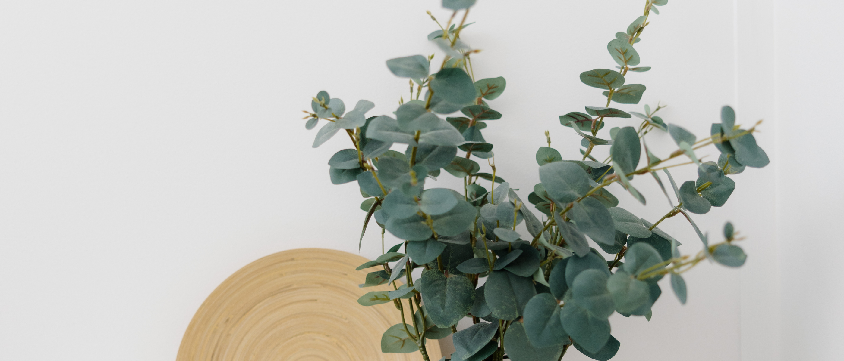 Psychology Gold Coast - Vyne Health