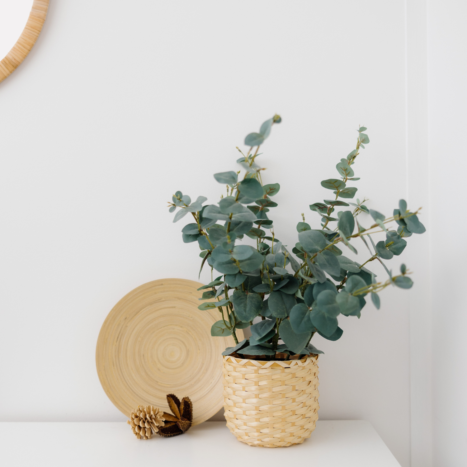 Remedial Massage therapy Gold Coast - Vyne Health