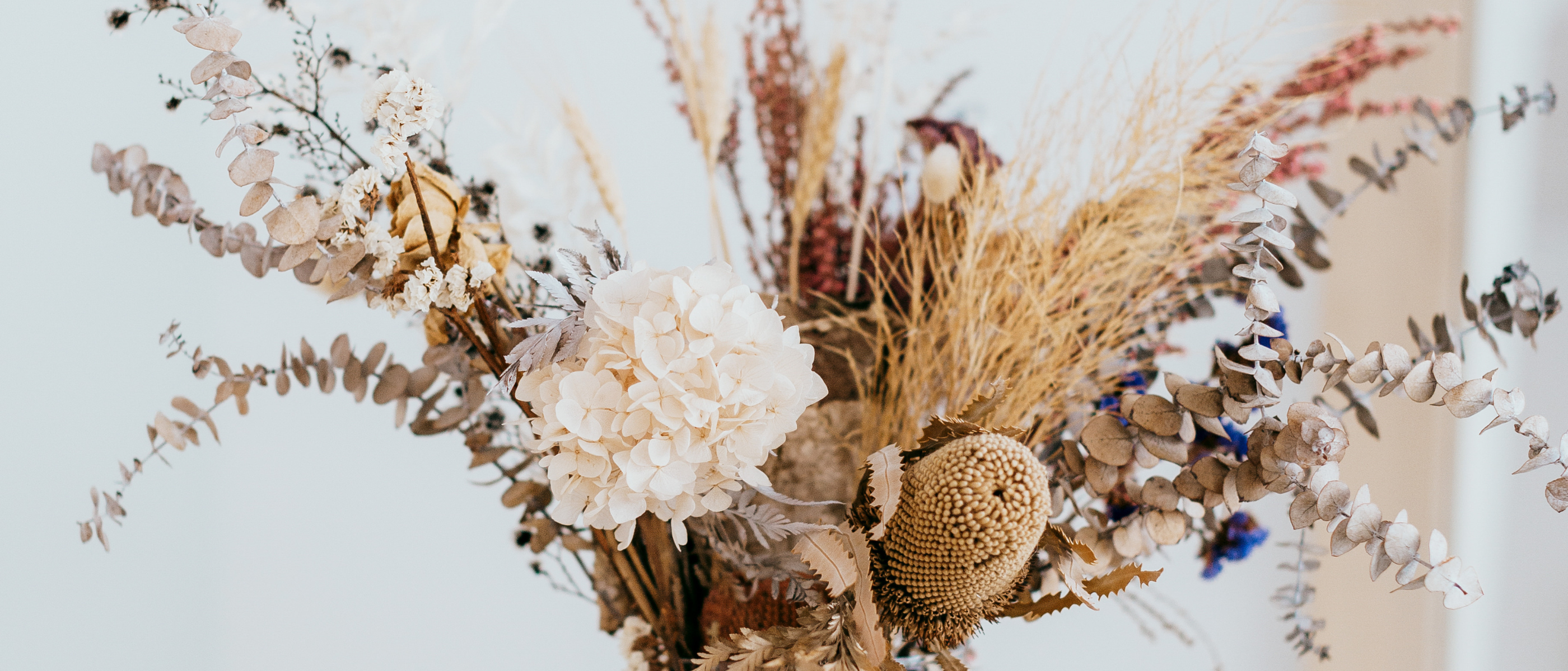 Vyne Health Acupuncture Gold Coast