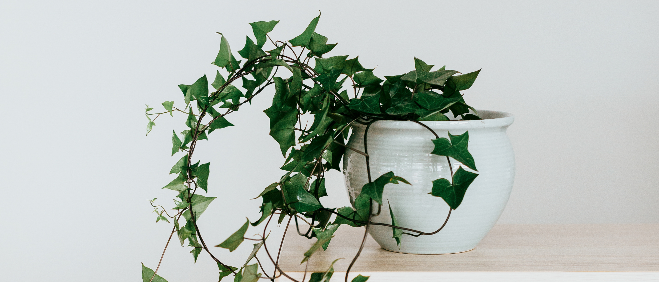 Vyne Health Acupuncture Gold Coast