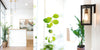 Online Bookings
