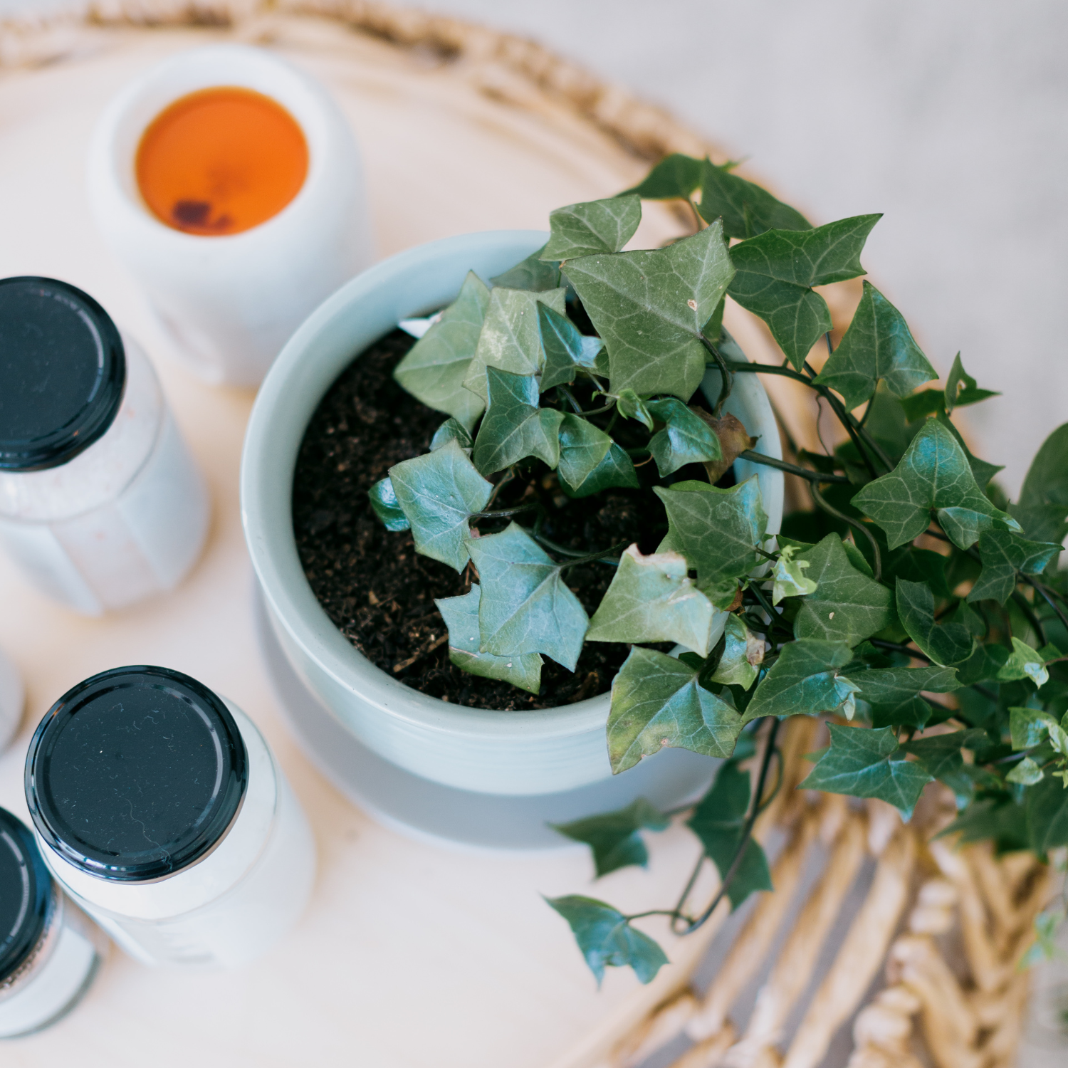 Osteopathy Services Gold Coast - Vyne Health
